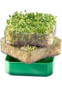 Germline - Keimgerät für Sprossen und Samen - Für die einfache Züchtung von Sprossen Hause - Inkl. 2 Keimschalen, Bodenschale & Deckel - 16 cm