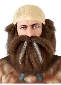 Rubies Der Hobbit Dwalin Per&uuml;cke und Bart