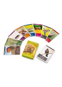 Quelle ＆ Meyer Verlag Naturquartett Tiere im Garten