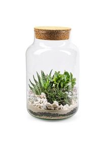 Jodeco Glass Flaschengarten mit Substrat