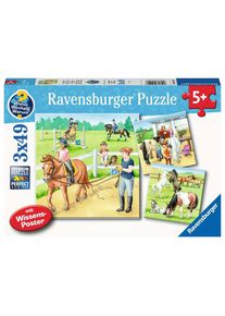 Ravensburger Kinderpuzzle 3x49 Teile - Ein Tag auf dem Reiterhof - ab 5 Jahre
