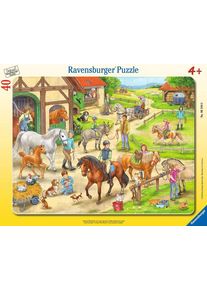 Ravensburger Auf dem Pferdehof - ab 4 Jahre