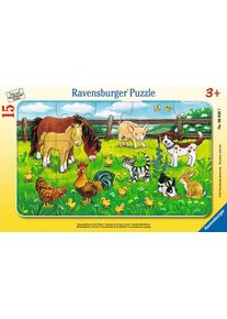 Ravensburger Bauernhoftiere auf der Wiese - ab 3 Jahre