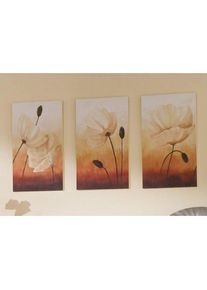 Wandbild »Weisser Mohn auf orange« , orange , Home Affaire