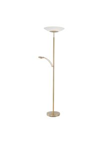 Paul Neuhaus ALFRED Deckenfluter LED Messing, 1-flammig