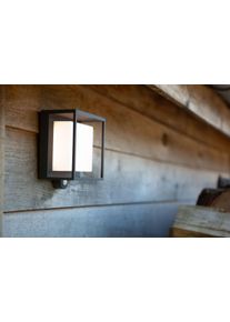 Lutec Curtis Solar Wandleuchte LED Anthrazit, 1-flammig, Bewegungsmelder