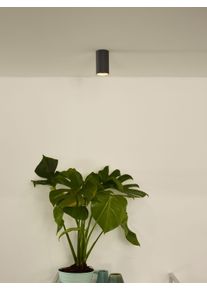 Lucide DELTO Downlight LED Grau, 1-flammig