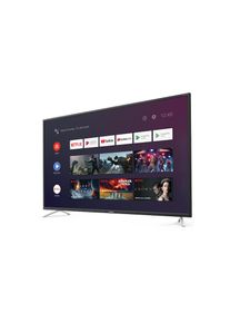 Sharp , LCD-LED Fernseher &raquo;55BL2EA&laquo;, 139 cm/55 Zoll , silberfarben , HDR - F&uuml;r ein naturgetreues Fernseherlebnis