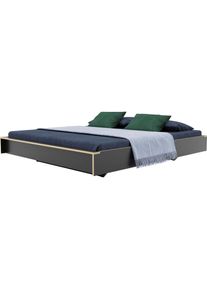 Müllermöbel Bettgestell »FLAI«, ohne Kopfteil in 4 Breiten, klassische Höhe 34 cm , grau , Müller SMALL LIVING , anthrazit mit Birkenkante