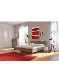 Müllermöbel Bettgestell »FLAI«, mit Kopfteil in 4 Breiten, klassische Höhe 34 cm , grau , Müller SMALL LIVING , anthrazit mit Birkenkante