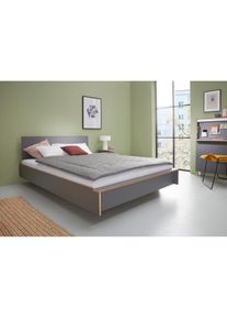 Müllermöbel Bettgestell »FLAI«, ohne Kopfteil in 4 Breiten, klassische Höhe 34 cm , grau , Müller SMALL LIVING , anthrazit mit Birkenkante
