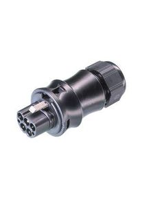 WIELAND Connector, Male Plug, 5 Poles, 20A, 400V - RST20I5S S1 ZR1 V SW