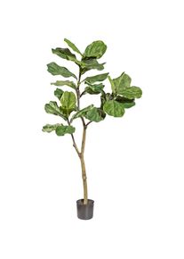 Gasper Kunstpflanze »Ficus Lyrata«, im Kunststofftopf, H: 120 cm grün