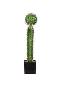Gasper Kunstpflanze »Kaktus«, im Kunststofftopf, H: 30 cm