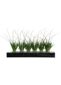 Gasper Kunstpflanze »Mini-Raumteiler mit Gras«, aus Holz, BxTxH: 63x15x6 cm