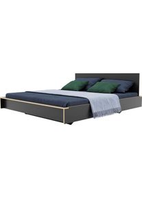 Müllermöbel Bettgestell »FLAI«, mit Kopfteil in 4 Breiten, klassische Höhe 34 cm , grau , Müller SMALL LIVING , anthrazit mit Birkenkante