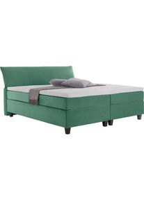 Tom Tailor Boxspringbett »COLOR BOX«, ohne Print grün pond TSV 616