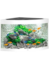Juwel Aquarium JUWEL AQUARIEN Aquarium »Trigon 190«, BxTxH: 98, 5x70x60 cm, 190 l weiß