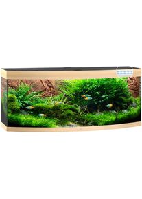 Juwel Aquarium JUWEL AQUARIEN Aquarium »Vision 450 LED«, BxTxH: 151x61x64 cm, 450 l braun holzfarben