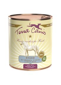 6x 800g Pferd mit Amaranth, Pfirsich & roter Beete Terra Canis Nassfutter für Hunde