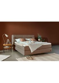 Birkenstock Boxspringbett »Calan«, Kopfteil mit Kreuzstichziernaht, in unterschiedlichen Ausführungen grau beigegrau HBU 179