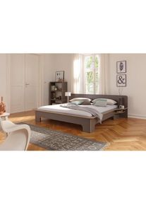 Müllermöbel Bettgestell »PLANE«, wahlweise mit Bettkasten, ausgezeichnet mit dem German Design Award , grau , Müller SMALL LIVING , anthrazit mit Birkenkante