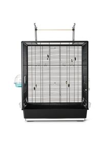 Savic Primo 60 Open Empire 80x50x115cm Vogel