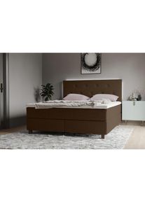 Inosign Boxspringbett »Alenika«, mit LED - Beleuchtung, mit Taschen-Federkernmatratze braun choco