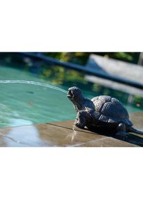 Ubbink Wasserspeier »Schildkröte«, BxLxH: 18x14x21 cm beige