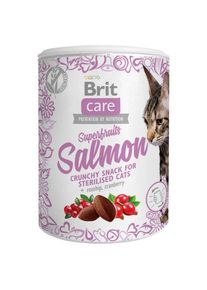 100g Superfruits & Lachs Brit Care Katzensnacks
