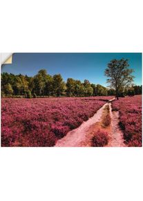 Wandbild »Lüneburger Heide Romantik«, Blumenwiese, (1 St.) , lila , Artland