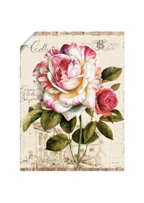 Wandbild »Garten Blick III«, Blumen, (1 St.), gedruckt , beige , Artland , naturfarben