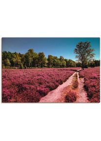 Wandbild »Lüneburger Heide Romantik«, Blumenwiese, (1 St.) , lila , Artland