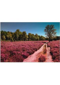 Wandbild »Lüneburger Heide Romantik«, Blumenwiese, (1 St.) , lila , Artland