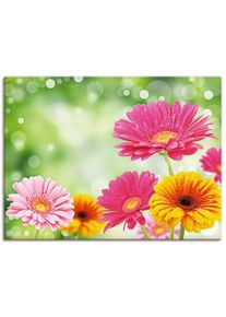 Wandbild &raquo;Nat&uuml;rliche Romantik - Gerberas&laquo;, Blumen, (1 St.), gedruckt , bunt , Artland