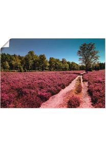 Wandbild »Lüneburger Heide Romantik«, Blumenwiese, (1 St.) , lila , Artland
