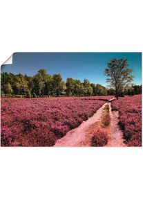 Wandbild &raquo;L&uuml;neburger Heide Romantik&laquo;, Blumenwiese, (1 St.) , lila , Artland