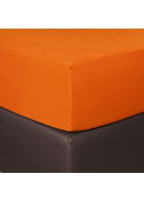 BettwarenShop Spannbettlaken »Boxspring«, (1 St.), Premium-Spannbettlaken in verschiedenen Größen erhältlich orange
