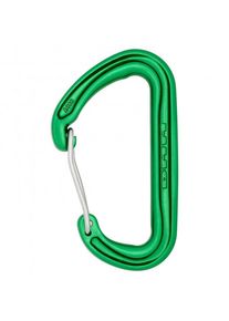Dmm Spectre 2 Schnappkarabiner (gr&uuml;n)