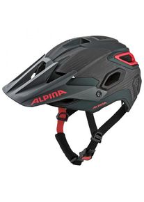 Alpina Alpina Rootage Radhelm (Gr 57-62 cm |schwarz/grau)
