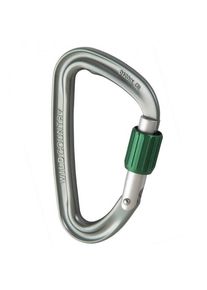 Wild Country Eos Schraubkarabiner (grau)