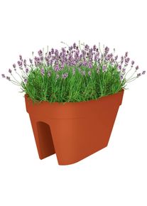Elho Blumentopf Terrakotta 50x26x29cm