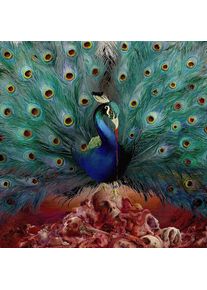 Opeth Sorceress CD multicolor