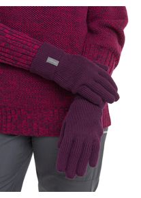 Icebreaker Merino Rixdorf Handschuhe - Mann - Nightshade - Größe XL