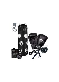 HAMMER Boxsack »Sparring Professional«, (Set, mit Boxhandschuhen-mit Trainings-DVD)