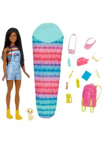 Barbie Anziehpuppe »It takes two Camping-Set inkl. Brooklyn Puppe, Hund & Zubehör« bunt