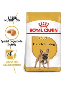 Royal Canin Französische Bulldogge Adult 3 kg