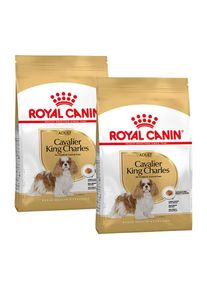 Royal Canin Cavalier King Charles Adult 2x1.5 kg