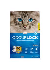 2x 12kg ODOURLOCK Parfümfrei Intersand Katzenstreu