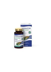 Pernaton Classic Grünlippmuschel